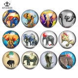 RoyalBeier 12pcs Flower Snap Button 18mm Glass Snaps Jewelry Pretty Girl Charms