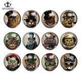12pcs Snap Button Jewelry Mr. Cat Glass Charms 18mm for 20mm Bracelet KZ0809