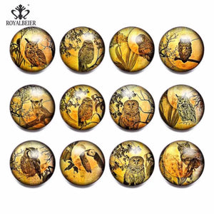 12pcs Vintage Owl Glass Charms for 20mm Snaps Bracelet