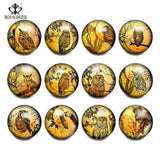 12pcs Vintage Owl Glass Charms for 20mm Snaps Bracelet