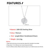 S'STEEL Round Card Zircon Necklace Sterling Silver S925 Chains Necklaces Y2K