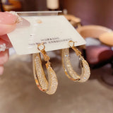 Crystal Mesh Circle Earrings - Cold Style, S925 Silver Needle, Niche Design