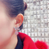 S925 Silver Needle Zircon Earrings for Women and Girls