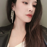 S925 Silver Needle Exaggerate Long Earrings Female Personality