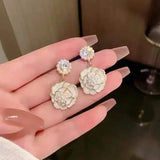 S925 Silver Needle Tassel Earrings High-End Women's Jewelry