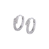 S925 Silver Double-Row Zircon Earrings for Women