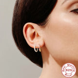 S925 Silver Earring with Zircon Inlay, Hot Selling Female Earrings