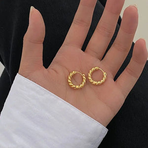 S925 Silver Fried Dough Twists Small Circle Earrings