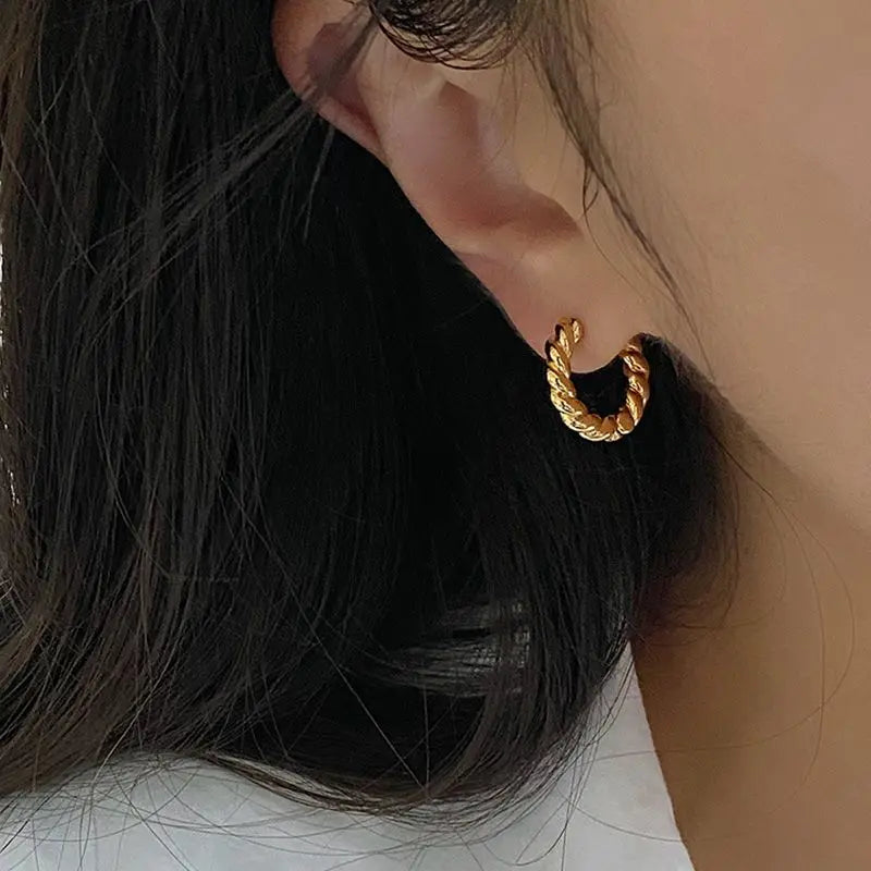 S925 Silver Fried Dough Twists Small Circle Earrings