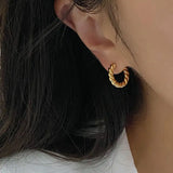 S925 Silver Fried Dough Twists Small Circle Earrings