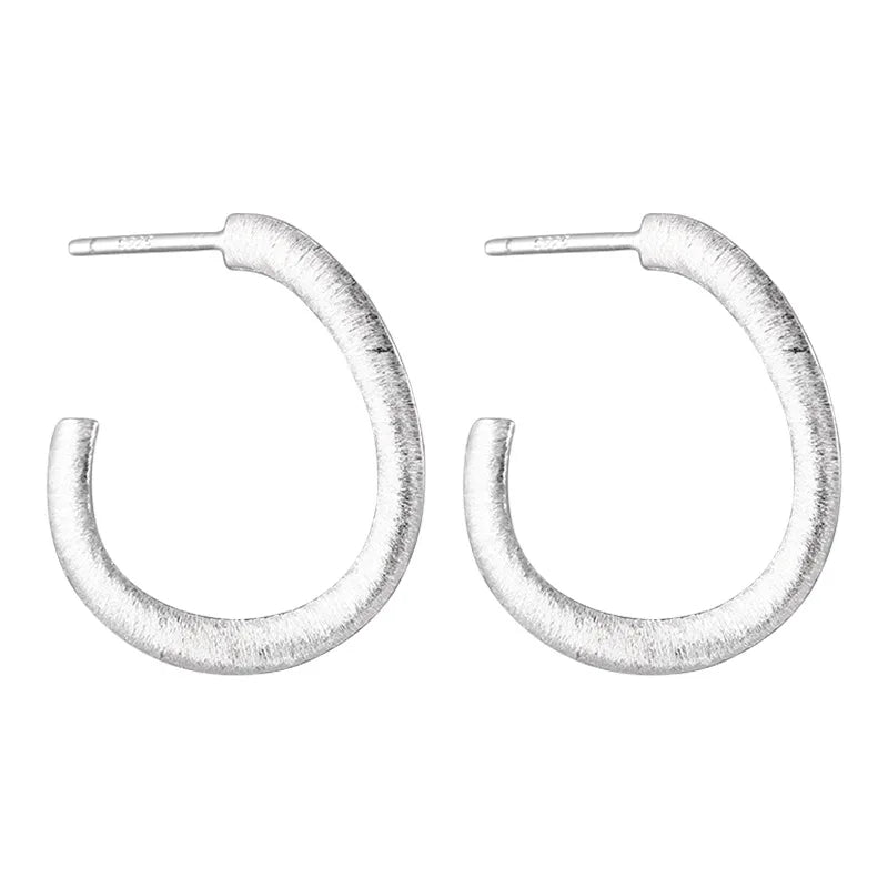 S925 Silver Irregular Stud Earrings for Women