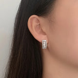 S925 Sterling Silver Micro-Set Horse Eye Zirconia Arc Earrings Small
