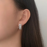 S925 Sterling Silver Micro-Set Horse Eye Zirconia Arc Earrings Small