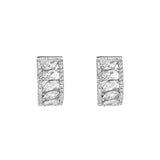 S925 Sterling Silver Micro-Set Horse Eye Zirconia Arc Earrings Small