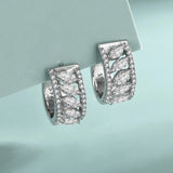 S925 Sterling Silver Micro-Set Horse Eye Zirconia Arc Earrings Small