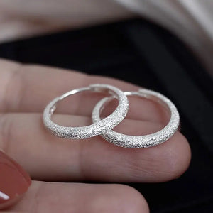 S925 Star River Ear Buckle Earrings Sparkling Women's Small Feel Versatile