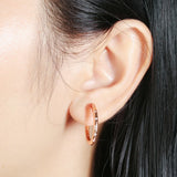 S925 Rose Ring Earrings Small Round Hoop Women's CZ Zircon Jewerly Ear Ring