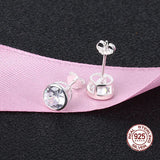 S925 Sterling Silver Zircon Earrings for Women