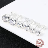 S925 Sterling Silver Zircon Earrings for Women