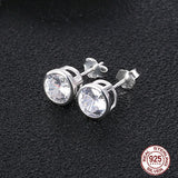 S925 Sterling Silver Zircon Earrings for Women