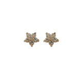 S925 Star Earrings Diamond Five Pointed Flowers