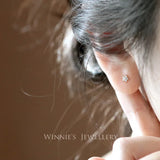S925 Star Earrings Diamond Five Pointed Flowers