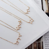 S925 Zodiac Star Necklaces with Zircon Pendant for Women