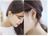 S925 Silver Zircon Wing Tassel Earrings Wedding Jewelry