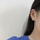 S925 Silver Zircon Earrings for Women