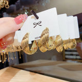 S925 Silver Needle Exaggerated Earrings for Women