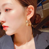 S925 Silver Needle Exaggerated Earrings for Women