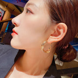 S925 Silver Needle Exaggerated Earrings for Women