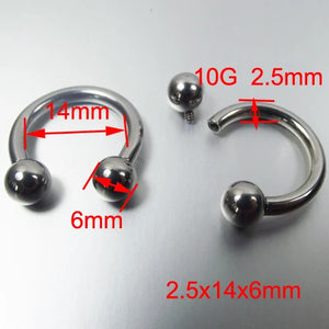 2PCS Stainless Steel BCR Nose Ring CBR Body Jewelry