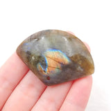 Labradorite Short Pendant Bead 48x34x9mm