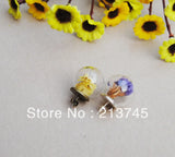 Glass Globe & Earring Base Set for DIY Earring Findings