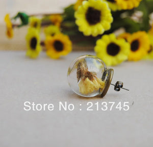 Glass Globe & Earring Base Set for DIY Earring Findings