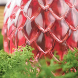 Dragon Egg Night Light Silicone Resin Mold with USB Powered Wooden Base Stand