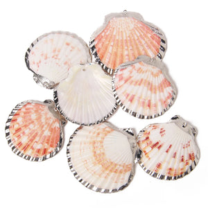 Natural Shell Charms for Jewelry Making