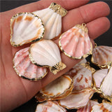Natural Shell Charms for Jewelry Making