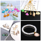 Natural Shell Charms for Jewelry Making