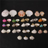Natural Shell Charms for Jewelry Making