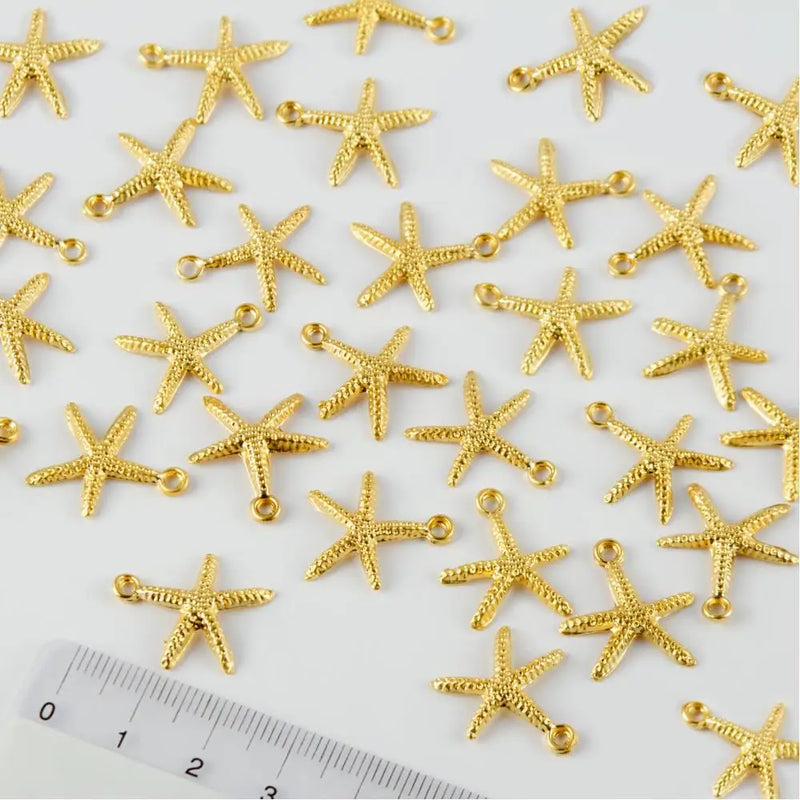 Sea Star Figured Plate Bracket 1 Pcs
