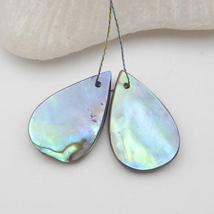 Abalone Shell Carved Earring Bead 20x14x3mm