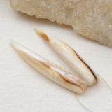 Natural Shell Carved Earring Bead, Fashion Jewelry