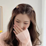 Small Rose Clasp Clips Tulip Mini Metal Clips Women's Hair Accessories