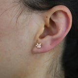 5 Pcs Love Animal Stud Earring 925 Sterling Silver Piercing Small Studs