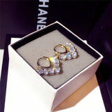 Shine Tassels Zircon Earrings