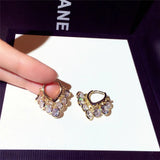 Shine Tassels Zircon Earrings