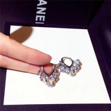 Shine Tassels Zircon Earrings