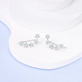 Sparkling Zircon Star Moon Stud Earrings 925 Silver Romantic Jewelry